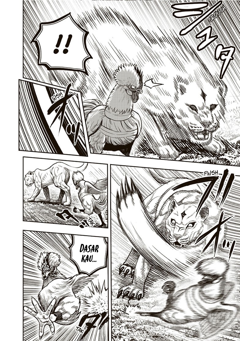 Niwatori Fighter Chapter 37 Image 30