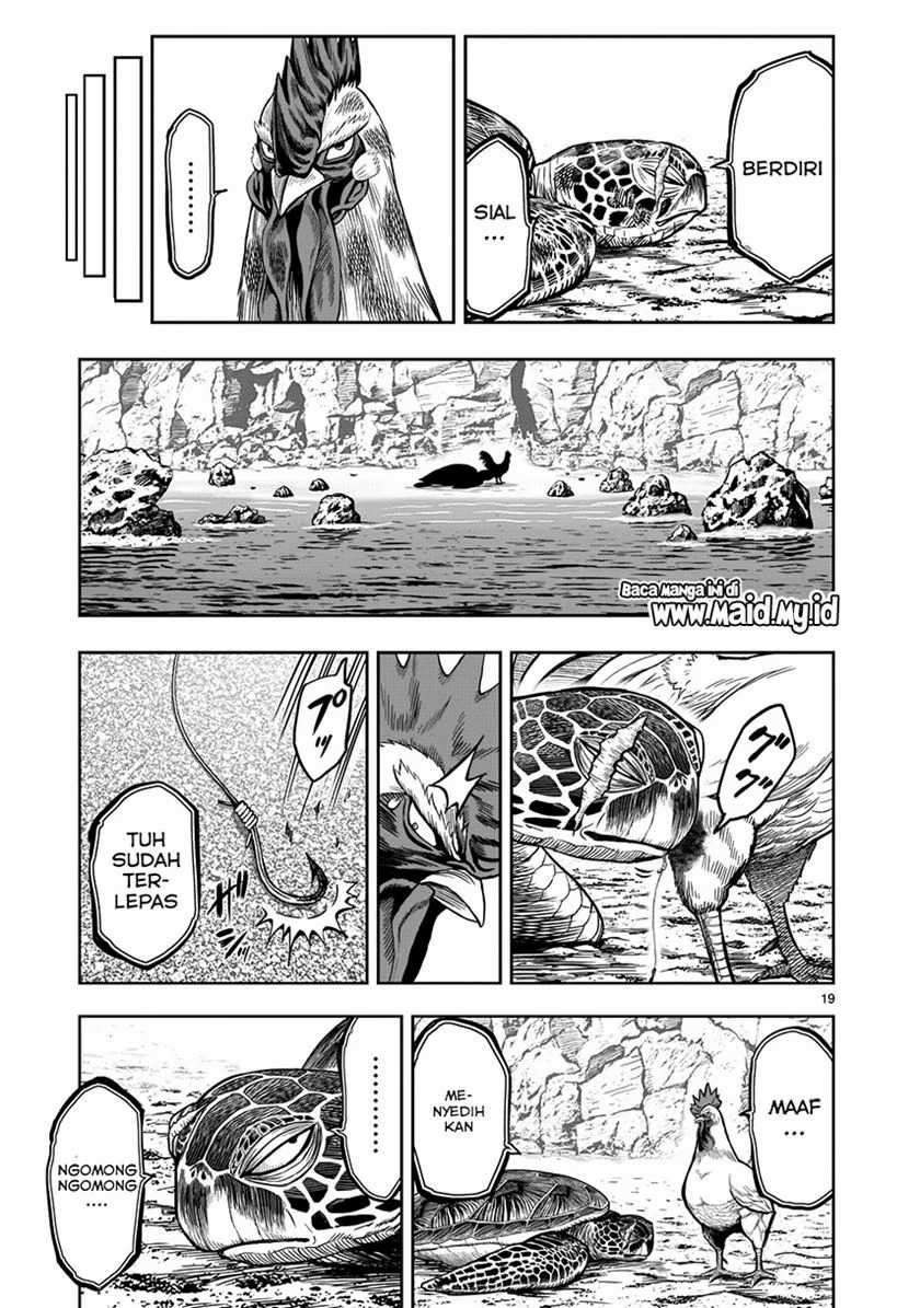 Niwatori Fighter Chapter 4 Image 20