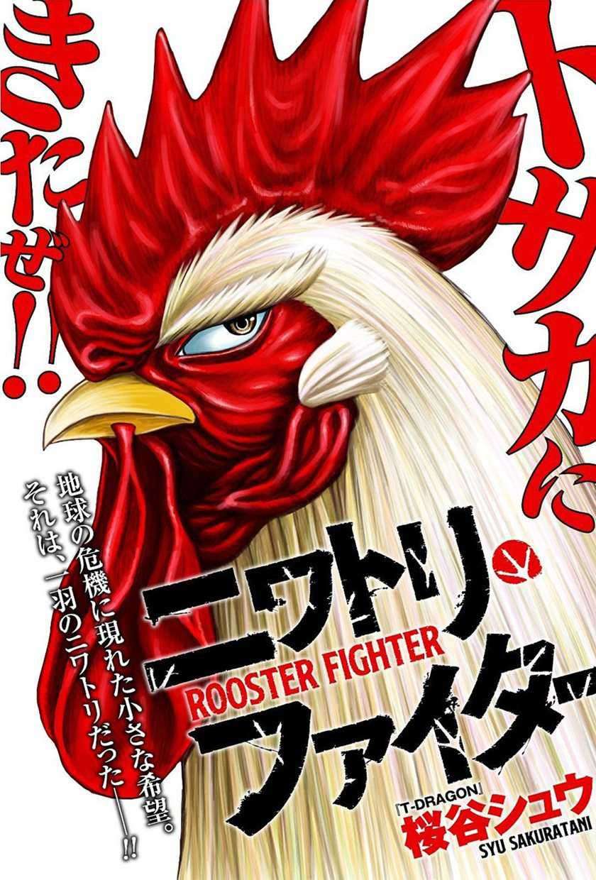 Niwatori Fighter Chapter 5 Image 0