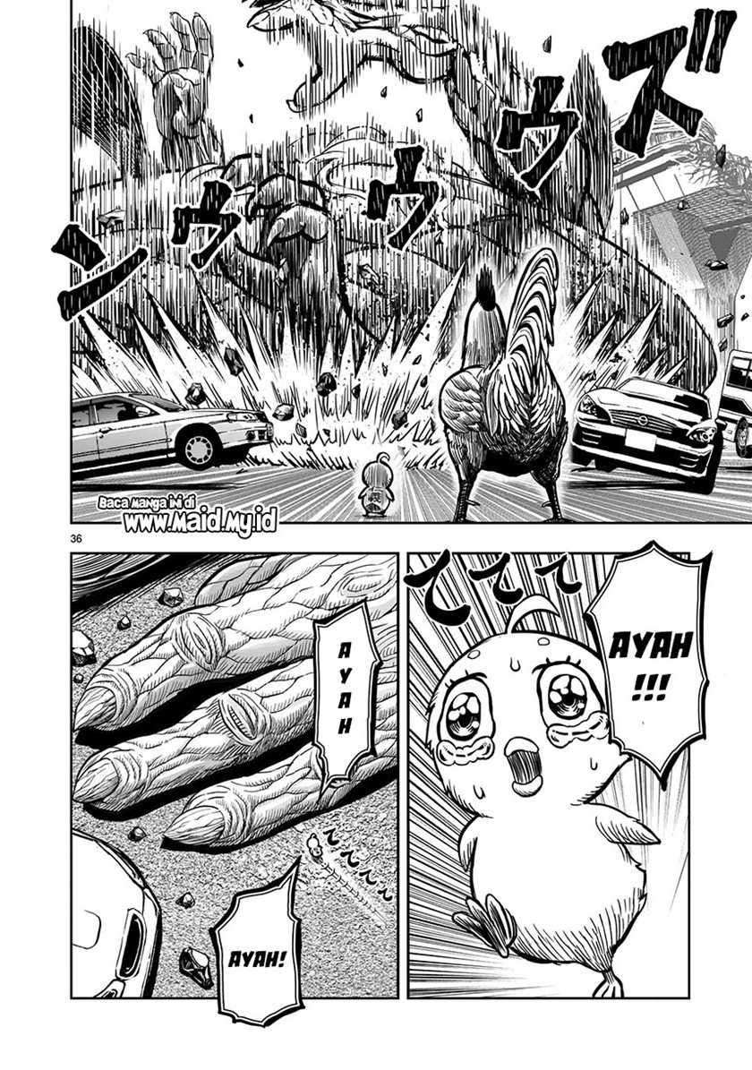 Niwatori Fighter Chapter 5 Image 37