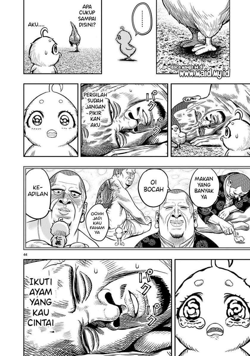 Niwatori Fighter Chapter 5 Image 45