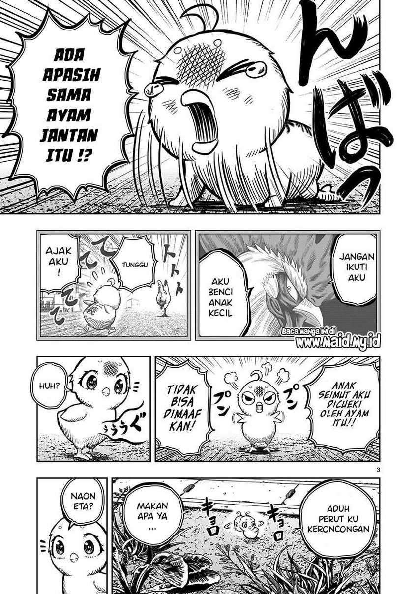 Niwatori Fighter Chapter 6 Image 4