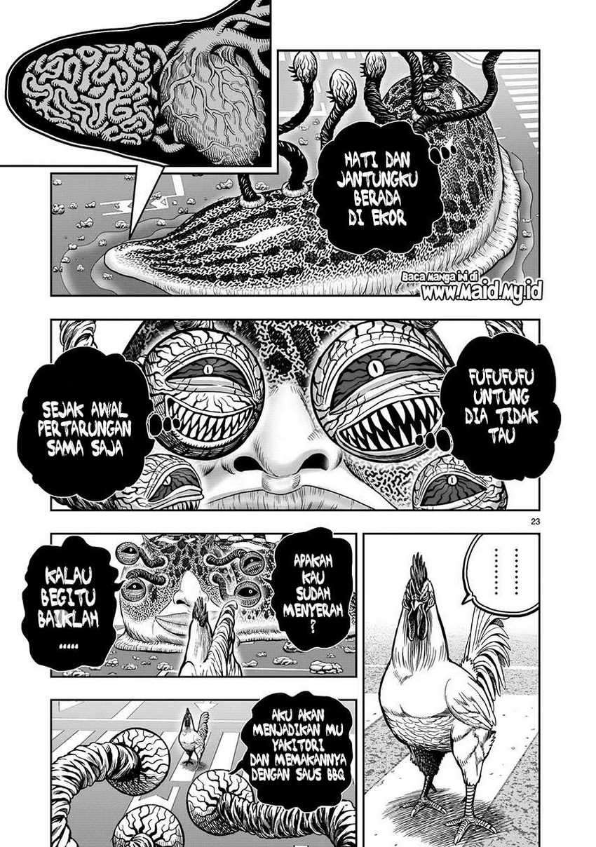 Niwatori Fighter Chapter 6 Image 24