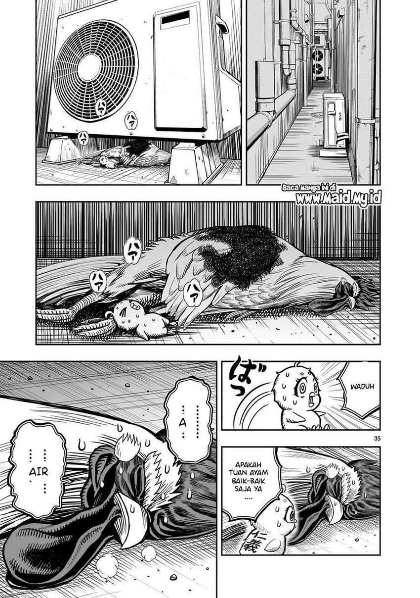 Niwatori Fighter Chapter 6 Image 36