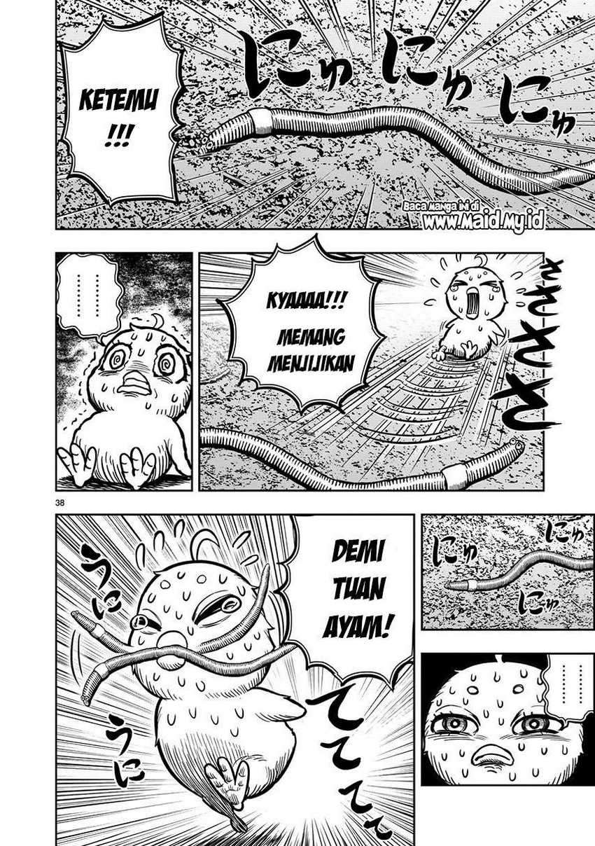 Niwatori Fighter Chapter 6 Image 39