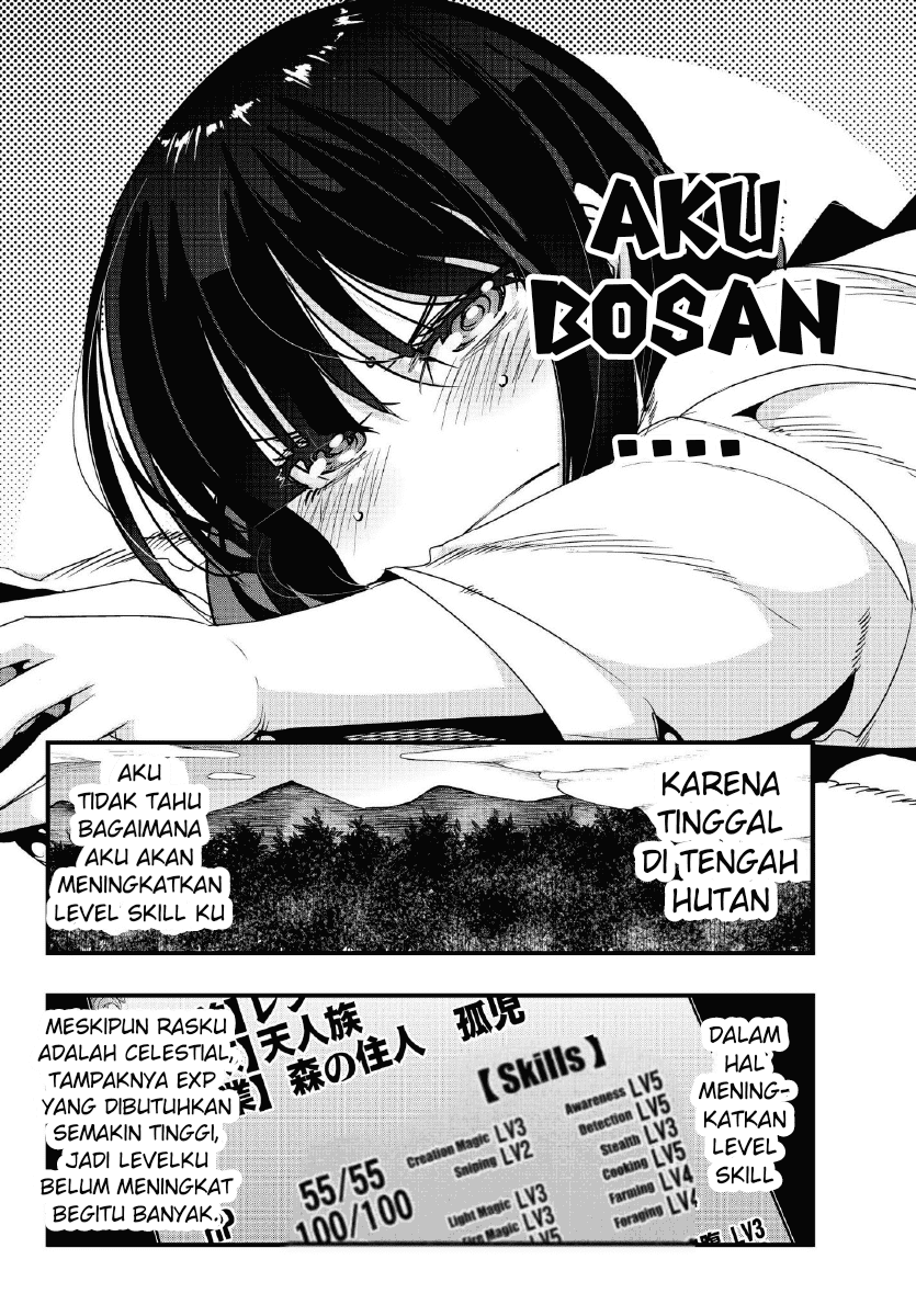 I Don’t Really Get It but It Looks Like I Was Reincarnated in Another World Chapter 04.2 Image 4